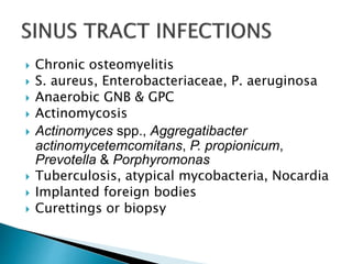 Chronic osteomyelitis
 S. aureus, Enterobacteriaceae, P. aeruginosa
 Anaerobic GNB & GPC
 Actinomycosis
 Actinomyces spp., Aggregatibacter
actinomycetemcomitans, P. propionicum,
Prevotella & Porphyromonas
 Tuberculosis, atypical mycobacteria, Nocardia
 Implanted foreign bodies
 Curettings or biopsy
 
