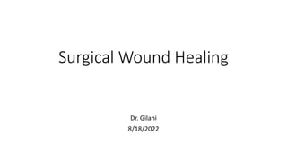 Surgical Wound Healing
Dr. Gilani
8/18/2022
 