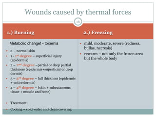1.) Burning 2.) Freezing
 a – normal skin
 1 - 1st degree – superficial injury
(epidermis)
 2 – 2nd degree –partial or deep partial
thickness (epidermis+superficial or deep
dermis)
 3 – 3rd degree – full thickness (epidermis
+ entire dermis)
 4 – 4th degree – (skin + subcutaneous
tissue + muscle and bone)
 Treatment:
 Cooling – cold water and clean covering
Wounds caused by thermal forces
16
Metabolic change! - toxemia  mild, moderate, severe (redness,
bullas, necrosis)
 rewarm – not only the frozen area
but the whole body
 