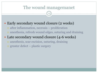 The wound managemanet
25
 Early secondary wound closure (2 weeks)
 after inflammation, necrosis – proliferation
 anesthesia, refresh wound edges, suturing and draining
 Late secondary wound closure (4-6 weeks)
 anesthesis, scar excision, suturing, draining
 greater defect – plastic surgery
 