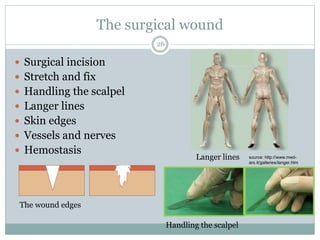 The surgical wound
 Surgical incision
 Stretch and fix
 Handling the scalpel
 Langer lines
 Skin edges
 Vessels and nerves
 Hemostasis
Langer lines
The wound edges
Handling the scalpel
26
source: http://www.med-
ars.it/galleries/langer.htm
 