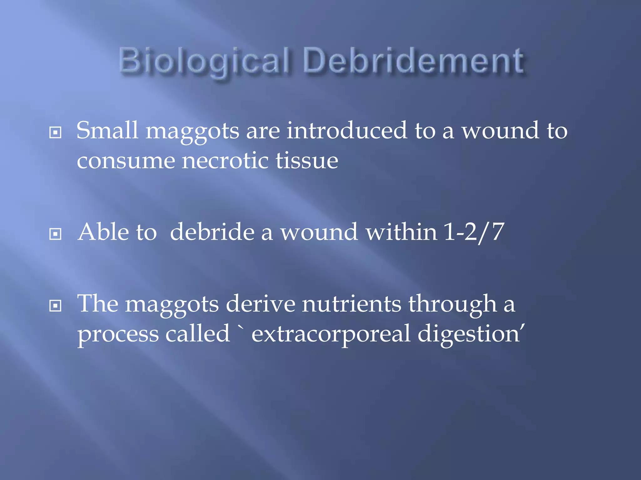  Small maggots are introduced to a wound to 
consume necrotic tissue 
 Able to debride a wound within 1-2/7 
 The maggots derive nutrients through a 
process called ` extracorporeal digestion’ 
 