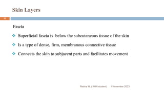 Skin Layers
Fascia
 Superficial fascia is below the subcutaneous tissue of the skin
 Is a type of dense, firm, membranous connective tissue
 Connects the skin to subjacent parts and facilitates movement
Rebira W. ( AHN student) 1 November 2023
11
 