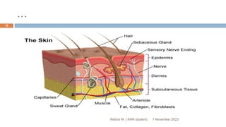 …
Rebira W. ( AHN student) 1 November 2023
12
 