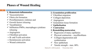 Phases of Wound Healing
1. Hemostasis-inflammation
 Vasoconstriction
 Fibrin clot formation
 Proinflammatory citokines and
 Growth factors releasing
 Vasodilatation
 Infiltration PMNs, macrophages cytokines
releasing
→ Angiogensis
→ Fibroblast activation
→ B- and T-cells activation
→ Keratinocytes activation
→ Wound contraction
2. Granulation-proliferation
 Fibroblast migration
 Collagen deposition
 Angiogensis
 Granulation tissue formation
 Epithelisation
 Contraction
3. Remodelling-maturation
 Regression of many capillaries
 Physical contraction – myofibroblasts
 Collagen degeneration and
synthetisation
 New epithelium
 Tensile strength – max. 80%
Rebira W. ( AHN student) 1 November 2023
31
 