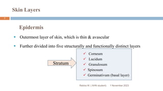 Skin Layers
Epidermis
 Outermost layer of skin, which is thin & avascular
 Further divided into five structurally and functionally distinct layers
 Corneum
 Lucidum
 Granulosum
 Spinosum
 Germinativum (basal layer)
Stratum
Rebira W. ( AHN student) 1 November 2023
7
 