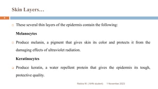 Skin Layers…
 These several thin layers of the epidermis contain the following:
Melanocytes
 Produce melanin, a pigment that gives skin its color and protects it from the
damaging effects of ultraviolet radiation.
Keratinocytes
 Produce keratin, a water repellent protein that gives the epidermis its tough,
protective quality.
Rebira W. ( AHN student) 1 November 2023
8
 