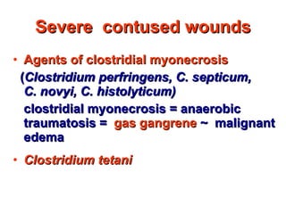 Severe  contused wounds Agents of clostridial myonecrosis  ( Clostridium perfringens, C. septicum,  C. novyi, C. histolyticum)   clostridial myonecrosis = anaerobic traumatosis =  gas gangrene   ~   malignant edema Clostridium   tetani 