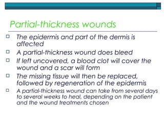Partial-thickness wounds
 The epidermis and part of the dermis is
affected
 A partial-thickness wound does bleed
 If left uncovered, a blood clot will cover the
wound and a scar will form
 The missing tissue will then be replaced,
followed by regeneration of the epidermis
 A partial-thickness wound can take from several days
to several weeks to heal, depending on the patient
and the wound treatments chosen
 