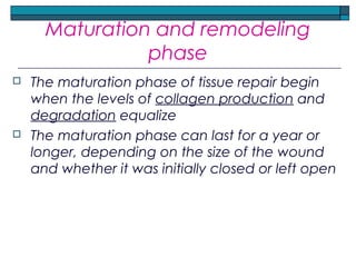 Maturation and remodeling
phase
 The maturation phase of tissue repair begin
when the levels of collagen production and
degradation equalize
 The maturation phase can last for a year or
longer, depending on the size of the wound
and whether it was initially closed or left open
 