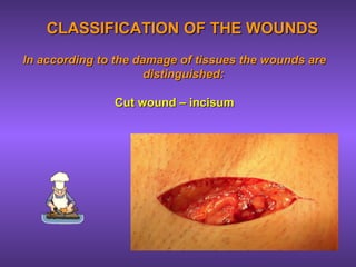 In according to the damage of tissues the wounds areIn according to the damage of tissues the wounds are
distinguished:distinguished:
Cut wound – incisumCut wound – incisum
CLASSIFICATIONCLASSIFICATION OF THE WOUNDSOF THE WOUNDS
 