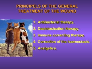 PRINCIPELS OF THE GENERALPRINCIPELS OF THE GENERAL
TREATMENT OF THE WOUNDTREATMENT OF THE WOUND
1.1. Antibacterial therapy.Antibacterial therapy.
2.2. Desintoxication therapy.Desintoxication therapy.
3.3. Immune correcting therapy.Immune correcting therapy.
4.4. Correction of the haemostasis.Correction of the haemostasis.
5.5. Analgetics.Analgetics.
 