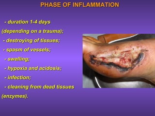 PHASE OF INFLAMMATIONPHASE OF INFLAMMATION
- duration 1-4 days- duration 1-4 days
(depending on a trauma);(depending on a trauma);
- destroying of tissues;- destroying of tissues;
- spasm of vessels;- spasm of vessels;
- swelling;- swelling;
- hypoxia and acidosis;- hypoxia and acidosis;
- infection;- infection;
- cleaning from dead tissues- cleaning from dead tissues
(enzymes).(enzymes).
 