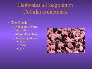 Hemostasis/Coagulation
Cellular component
• The Platelet
– Activates to form
fibrin clot
– Stems blood flow
– Release cytokines
• PDGF
• TGF-ß
• EGF
 
