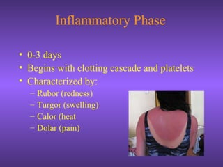 Inflammatory Phase
• 0-3 days
• Begins with clotting cascade and platelets
• Characterized by:
– Rubor (redness)
– Turgor (swelling)
– Calor (heat
– Dolar (pain)
 