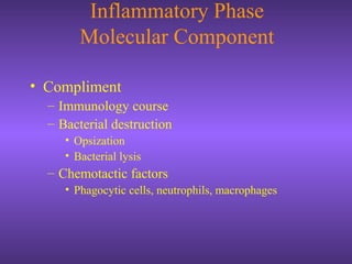 Inflammatory Phase
Molecular Component
• Compliment
– Immunology course
– Bacterial destruction
• Opsization
• Bacterial lysis
– Chemotactic factors
• Phagocytic cells, neutrophils, macrophages
 