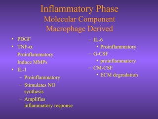 Inflammatory Phase
Molecular Component
Macrophage Derived
• PDGF
• TNF-α
Proinflammatory
Induce MMPs
• IL-1
– Proinflammatory
– Stimulates NO
synthesis
– Amplifies
inflammatory response
– IL-6
• Proinflammatory
– G-CSF
• proinflammatory
– CM-CSF
• ECM degradation
 