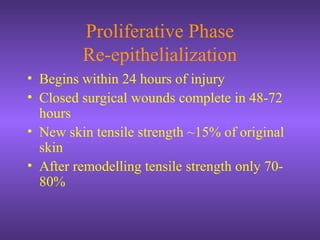 Proliferative Phase
Re-epithelialization
• Begins within 24 hours of injury
• Closed surgical wounds complete in 48-72
hours
• New skin tensile strength ~15% of original
skin
• After remodelling tensile strength only 70-
80%
 