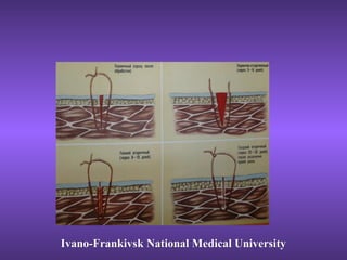 Ivano-Frankivsk National Medical UniversityIvano-Frankivsk National Medical University
 