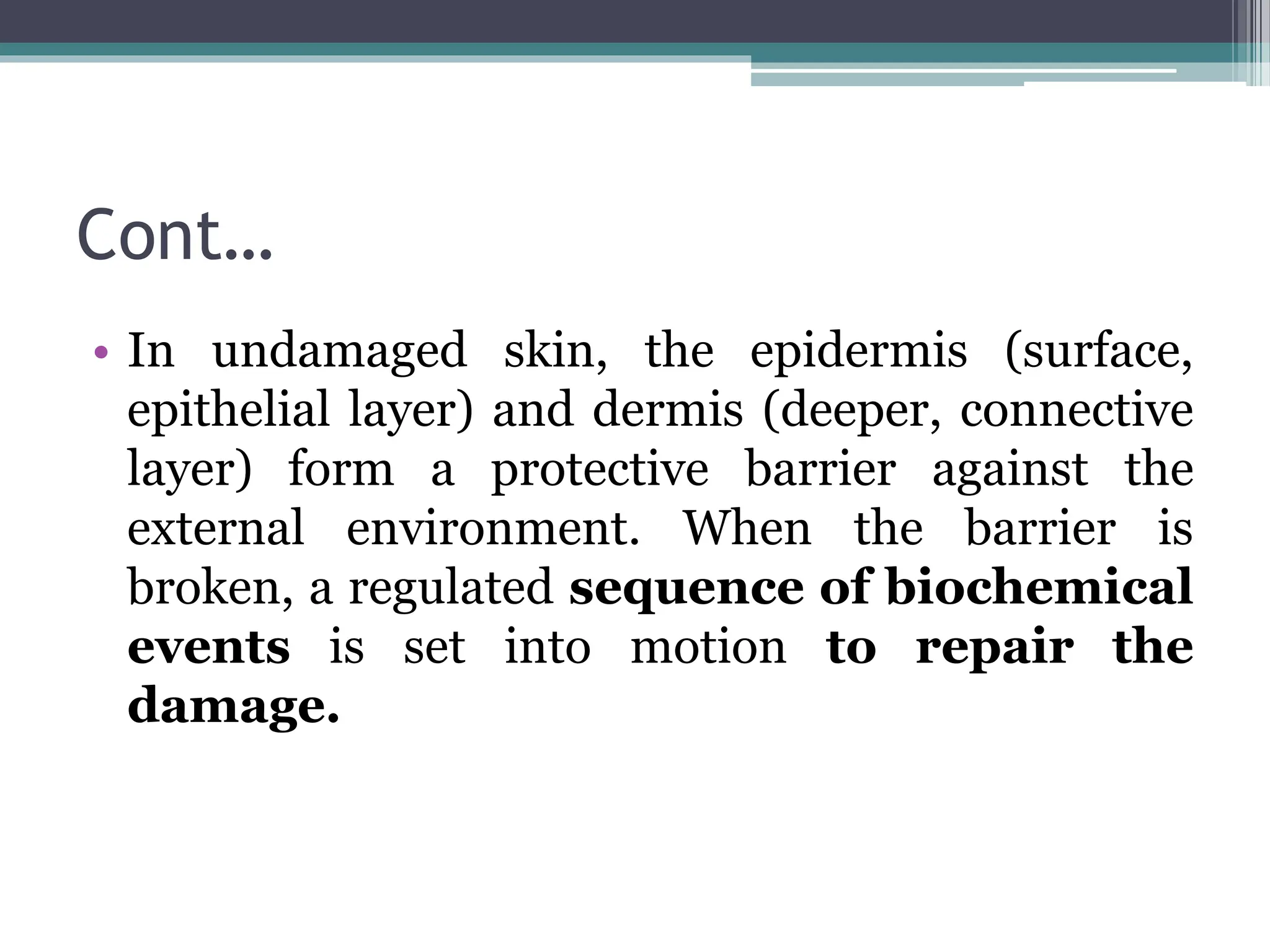Cont…
• In undamaged skin, the epidermis (surface,
epithelial layer) and dermis (deeper, connective
layer) form a protective barrier against the
external environment. When the barrier is
broken, a regulated sequence of biochemical
events is set into motion to repair the
damage.
 