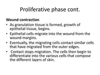 Wounds And wound dressing (Advanced Nursing I) .pptx