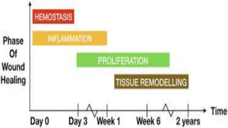 WOUNDS AND WOUND HEALING-1.pptx