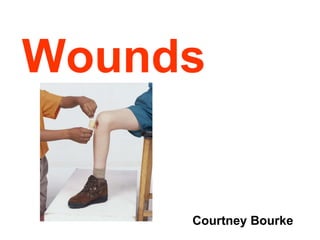 Wounds Courtney Bourke 