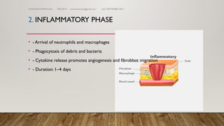 Comprehensive Guide to Wound Classification, Healing, and Management ...