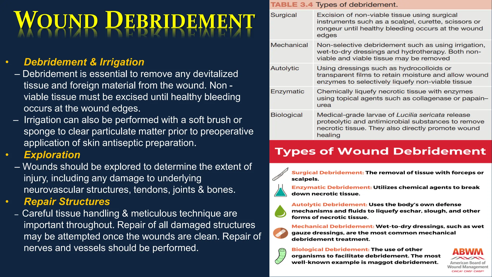 WOUND DEBRIDEMENT
• Debridement & Irrigation
– Debridement is essential to remove any devitalized
tissue and foreign material from the wound. Non -
viable tissue must be excised until healthy bleeding
occurs at the wound edges.
– Irrigation can also be performed with a soft brush or
sponge to clear particulate matter prior to preoperative
application of skin antiseptic preparation.
• Exploration
– Wounds should be explored to determine the extent of
injury, including any damage to underlying
neurovascular structures, tendons, joints & bones.
• Repair Structures
– Careful tissue handling & meticulous technique are
important throughout. Repair of all damaged structures
may be attempted once the wounds are clean. Repair of
nerves and vessels should be performed.
 
