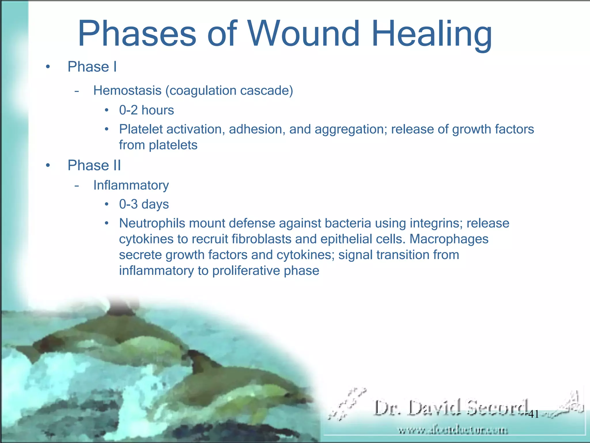 Wound Vac Lecture