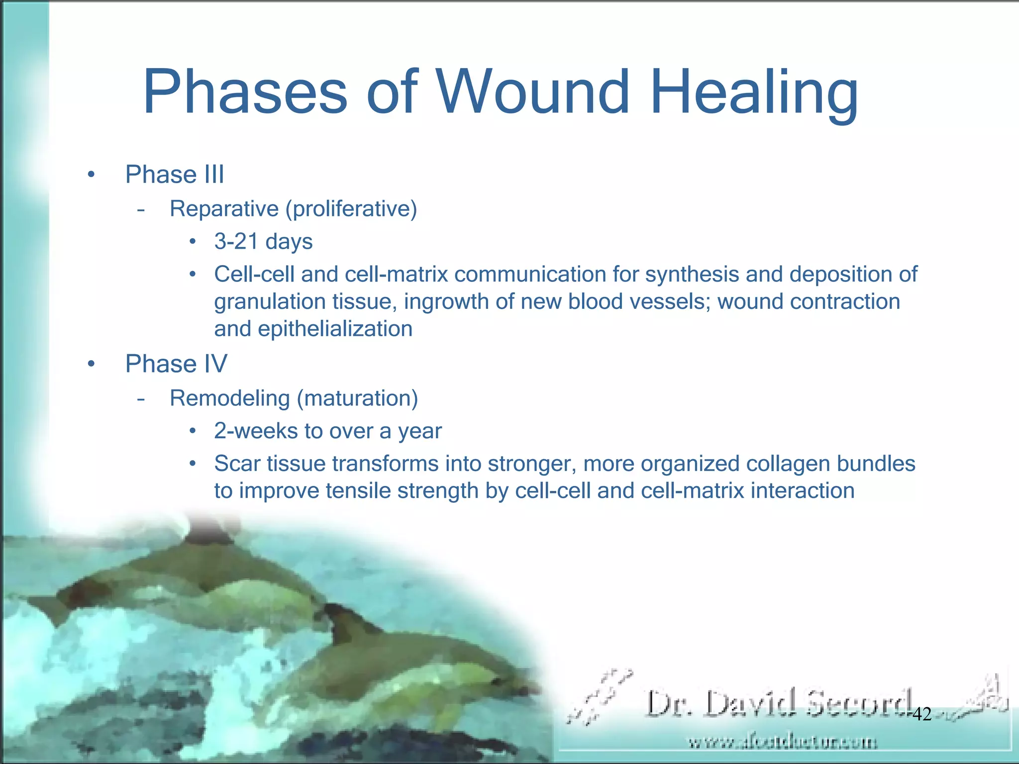 Wound Vac Lecture