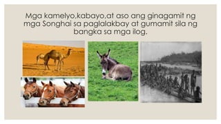 Mga kamelyo,kabayo,at aso ang ginagamit ng
mga Songhai sa paglalakbay at gumamit sila ng
bangka sa mga ilog.
 
