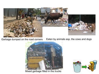 Garbage dumped on the road corners    Eaten by animals esp. the cows and dogs




                   Mixed garbage filled in the trucks
 