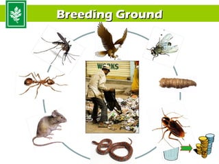Breeding Ground




                  17
 