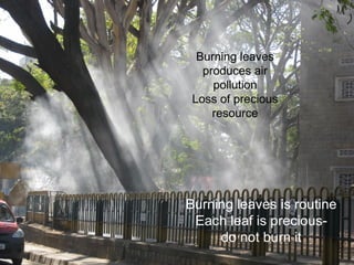 Burning leaves
   produces air
     pollution
 Loss of precious
     resource




Burning leaves is routine
 Each leaf is precious-
     do not burn it
 