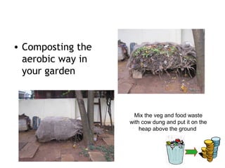 • Composting the
  aerobic way in
  your garden



                    Mix the veg and food waste
                   with cow dung and put it on the
                       heap above the ground
 