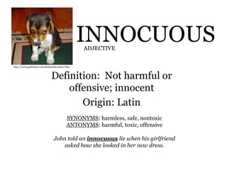 INNOCUOUS
Definition: Not harmful or
offensive; innocent
Origin: Latin
http://www.gotbrainy.com/flashcards/show/7897
ADJECTIVE
SYNONYMS: harmless, safe, nontoxic
ANTONYMS: harmful, toxic, offensive
John told an innocuous lie when his girlfriend
asked how she looked in her new dress.
 
