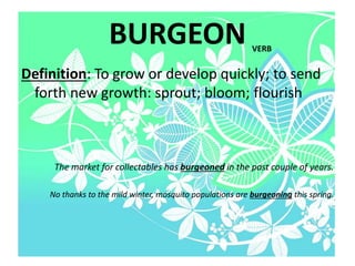 BURGEON
Definition: To grow or develop quickly; to send
forth new growth: sprout; bloom; flourish
The market for collectables has burgeoned in the past couple of years.
No thanks to the mild winter, mosquito populations are burgeoning this spring.
VERB
 