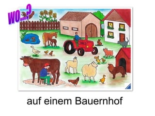 auf einem Bauernhof
 