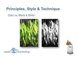 Principles, Style & Technique
Color vs. Black & White
 