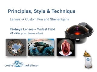 Principles, Style & Technique
Lenses  Custom Fun and Shenanigans


 Fisheye Lenses – Widest Field
 of view (most bizarre effect)
 