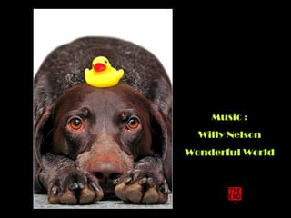 Music :
Willy Nelson
Wonderful World
 
