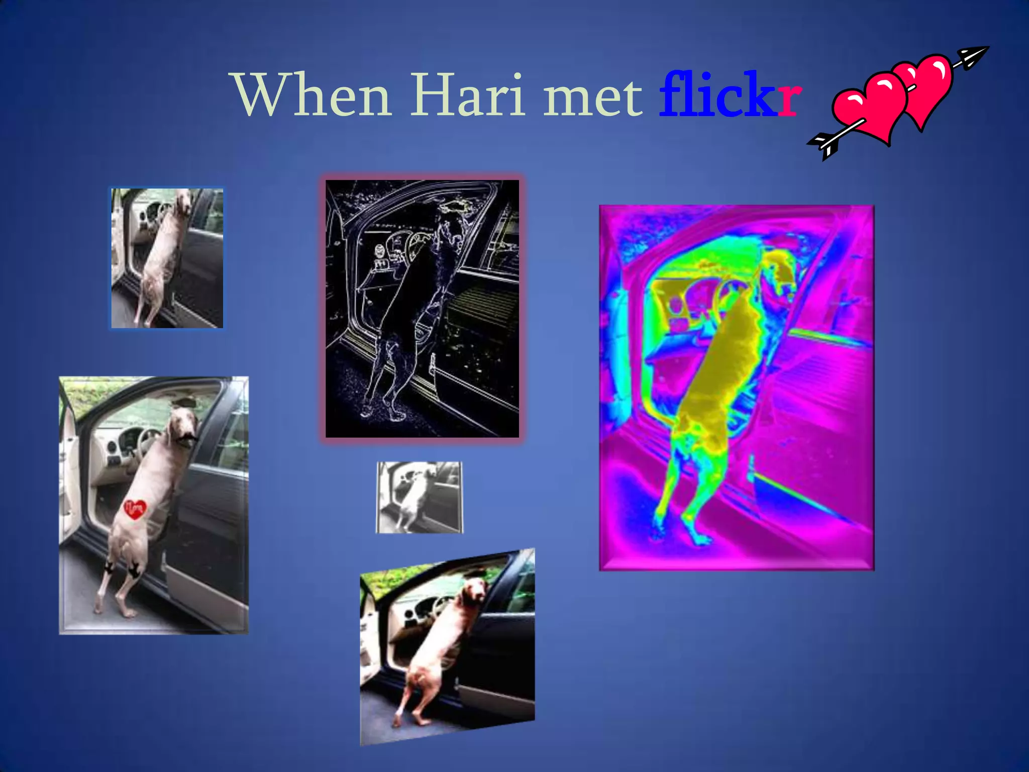 Pricing for Picnik includes both a free and premium membership.  Photobucket is the premier destination for uploading, sharing, linking and finding photos, videos and graphics. Host all your images and videos for free, then share them by email or on social sites like Facebook, Twitter and MySpace. 