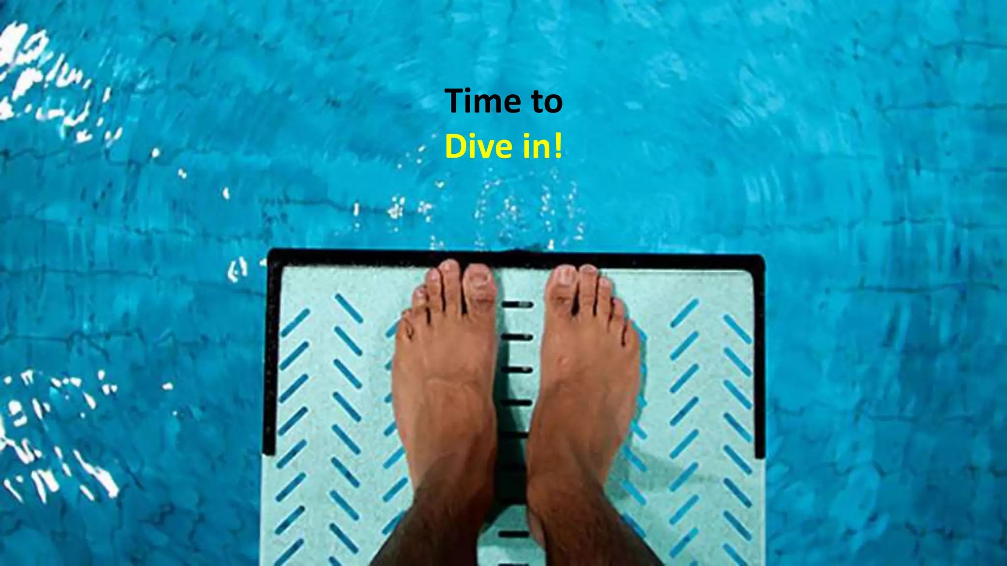 Time to
Dive in!
 