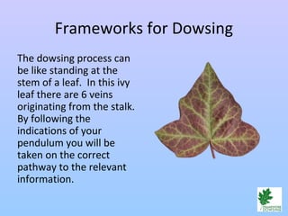 Frameworks for Dowsing
The dowsing process can
be like standing at the
stem of a leaf. In this ivy
leaf there are 6 veins
originating from the stalk.
By following the
indications of your
pendulum you will be
taken on the correct
pathway to the relevant
information.
 