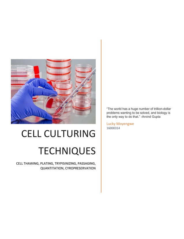Cell culturing lab report PDF