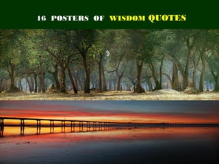 16 POSTERS OF WISDOM QUOTES




                      1
 
