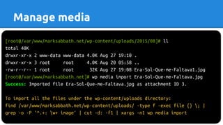 [root@/var/www/marksabbath.net/wp-content/uploads/2015/08]# ll
total 40K
drwxr-xr-x 2 www-data www-data 4.0K Aug 27 19:10 .
drwxr-xr-x 3 root root 4.0K Aug 20 05:58 ..
-rw-r--r-- 1 root root 32K Aug 27 19:08 Era-Sol-Que-me-Faltava1.jpg
[root@/var/www/marksabbath.net]# wp media import Era-Sol-Que-me-Faltava.jpg
Success: Imported file Era-Sol-Que-me-Faltava.jpg as attachment ID 3.
To import all the files under the wp-content/uploads directory:
find /var/www/marksabbath.net/wp-content/uploads/ -type f -exec file {} ; |
grep -o -P '^.+: w+ image' | cut -d: -f1 | xargs -n1 wp media import
Manage media
 