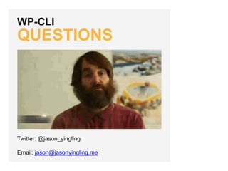 WP-CLI
QUESTIONS
Twitter: @jason_yingling
Email: jason@jasonyingling.me
 