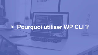 >_Pourquoi utiliser WP CLI ?
 